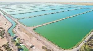 JAPAMA wastewater ponds | Image Credit: Transition Industries