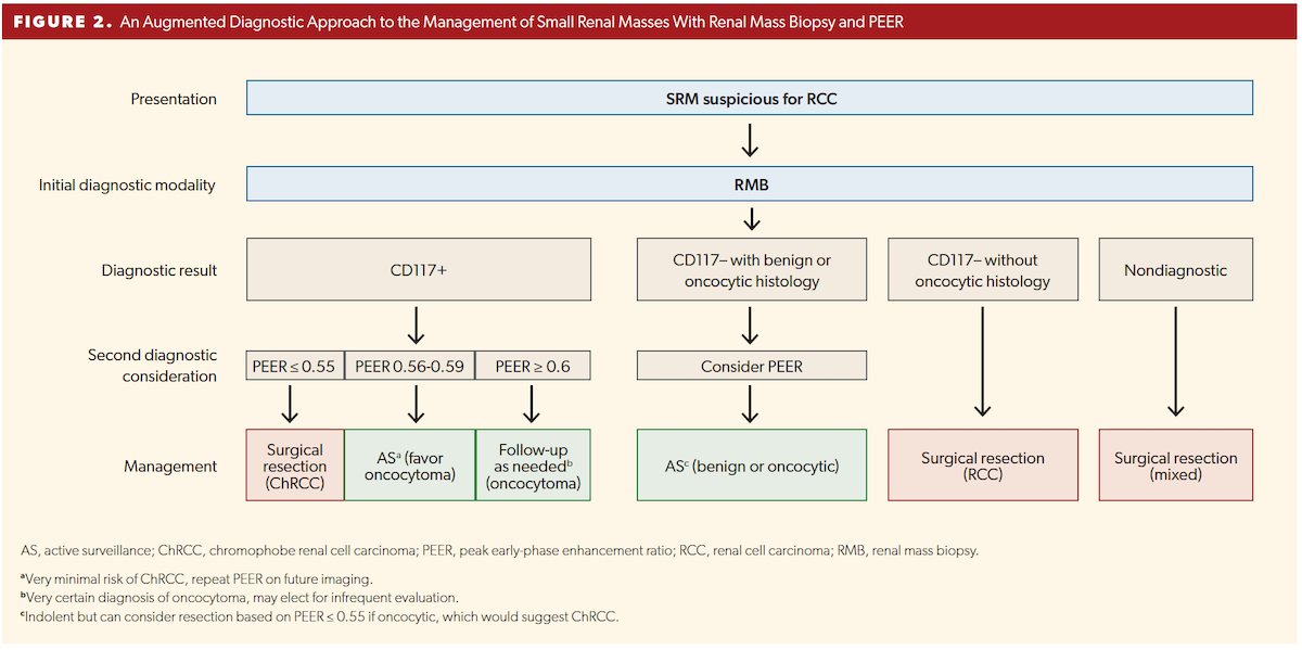 An Augmented Diagnostic Approach to the Management of Small Renal Masses With Renal Mass Biopsy and PEER