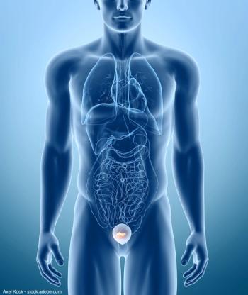 Axel Kock - stock.adobe.com