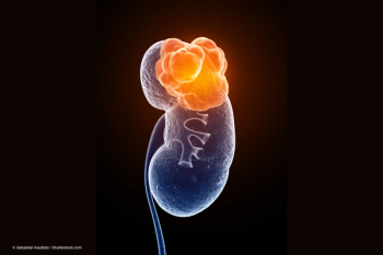 © Sebastian Kaulitzki / Shutterstock.com