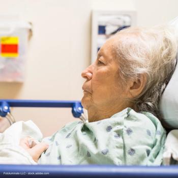 Fotoluminate LLC - stock.adobe.com