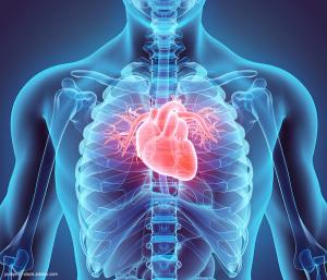  yodiyim - stock.adobe.com