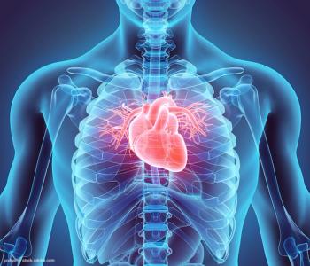  yodiyim - stock.adobe.com