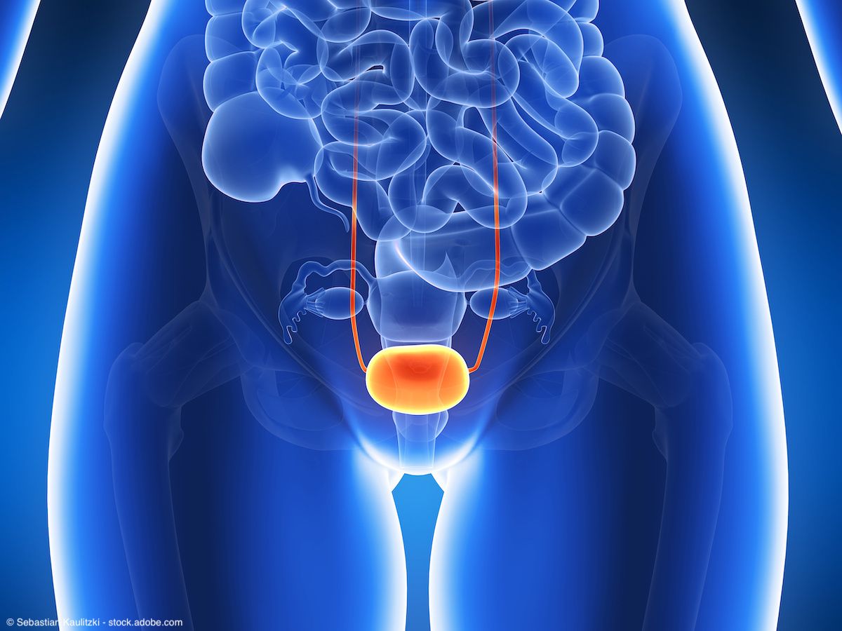 3d rendered illustration - bladder | Image Credit: © Sebastian Kaulitzki - stock.adobe.com