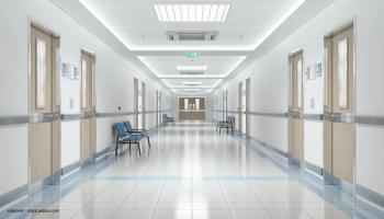 sdecoret - stock.adobe.com