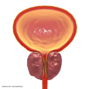 Kateryna_Kon - stock.adobe.com