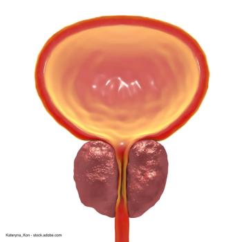 Kateryna_Kon - stock.adobe.com