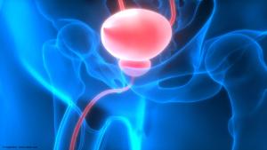 Novel FGFR2/3 inhibitor shows promise in solid tumors, including bladder cancer