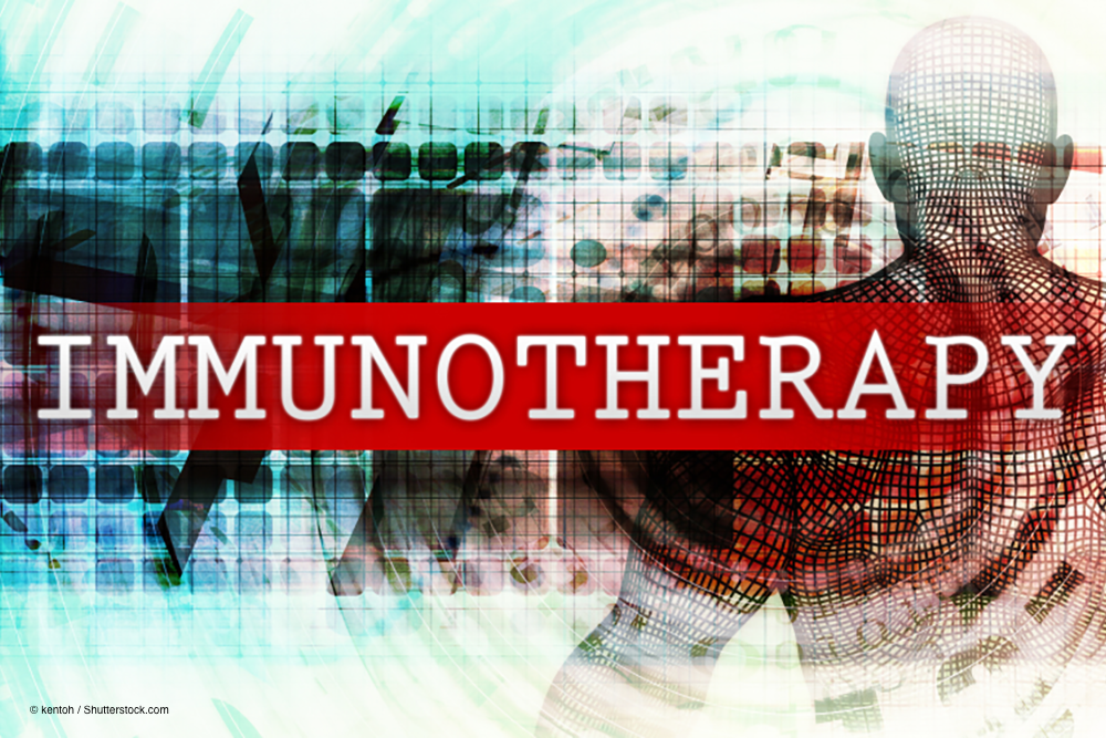 © kentoh / Shutterstock.com