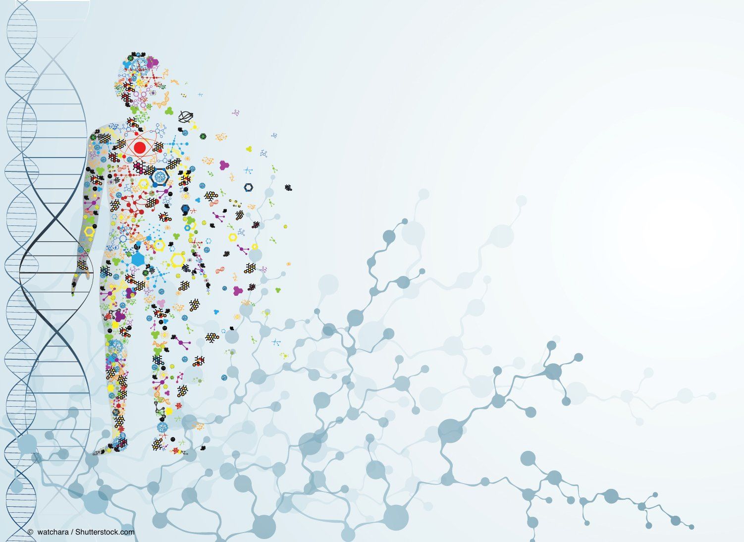 © watchara / Shutterstock.com