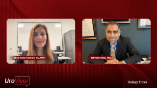 Experts on prostate cancer