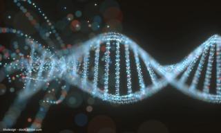 ktsdesign - stock.adobe.com