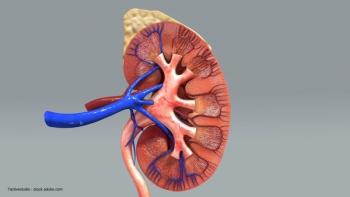 7activestudio - stock.adobe.com