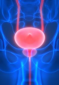 Overall, the ideal urethral bulking agent for female stress incontinence has yet to be identified and more RCTs are needed comparing bulking agents to each other. Currently available agents have acceptable short-term and medium-term efficacy with few adverse events.