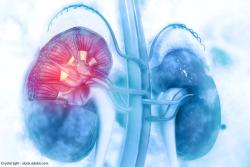 Obesity not linked to lower renal function following partial nephrectomy
