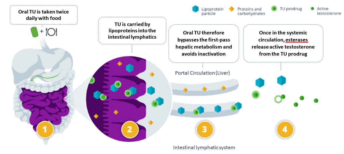 The Latest In Testosterone Replacement Therapy