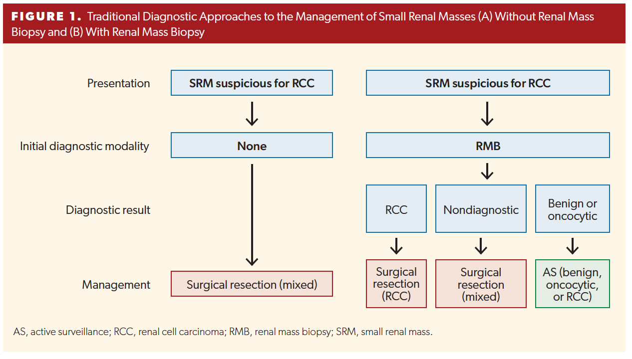 Traditional Diagnostic Approaches to the Management of Small Renal Masses (A) Without Renal Mass Biopsy and (B) With Renal Mass Biopsy
