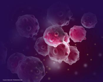 © jovan vitanovski / Shutterstock.com 