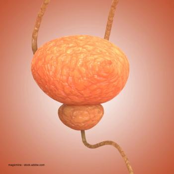 magicmine - stock.adobe.com