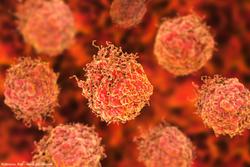 Nadofaragene firadenovec, PD-1 inhibitors show synergistic activity in bladder cancer