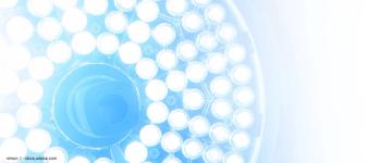 nimon_t - stock.adobe.com