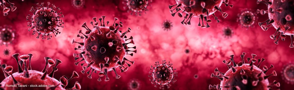 Romolo Tavani - stock.adobe.com