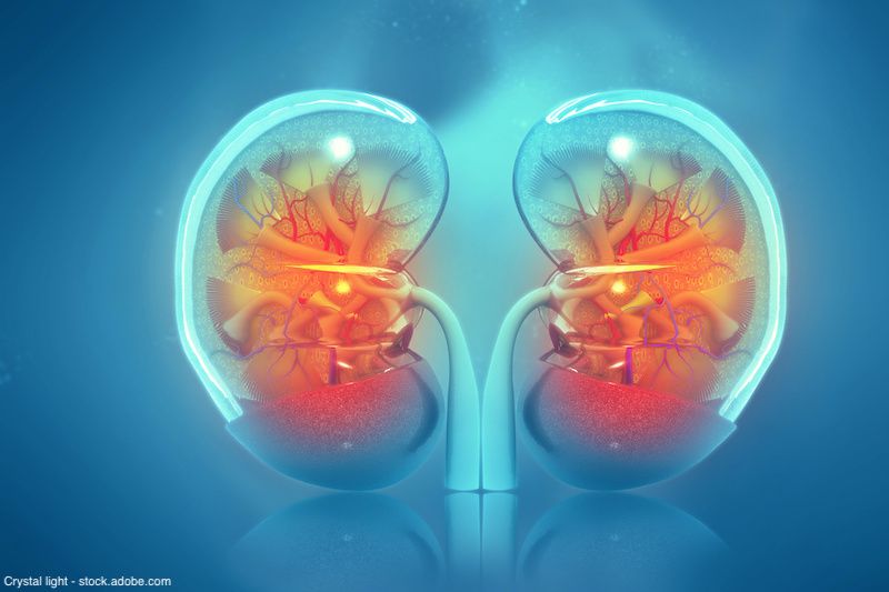 What is the best way to report an encounter when both the kidney and bladder are imaged? - Urology Times