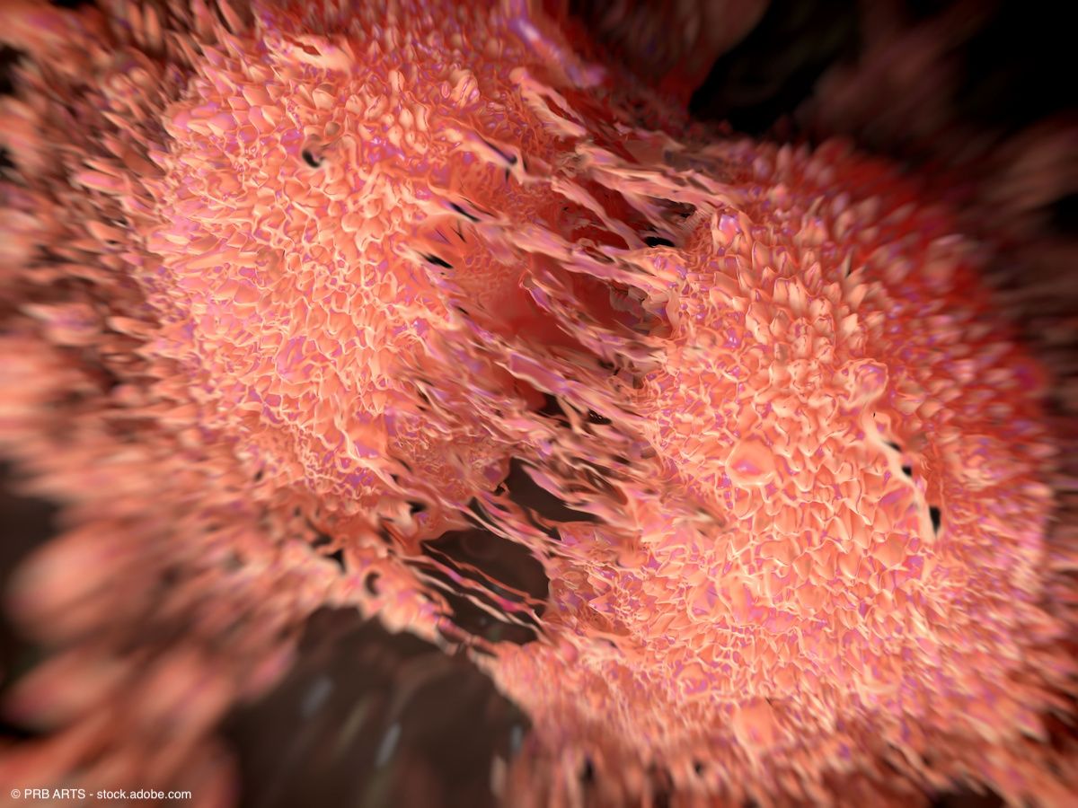 Prostate cancer cell division | Image Credit: © PRB ARTS - stock.adobe.com