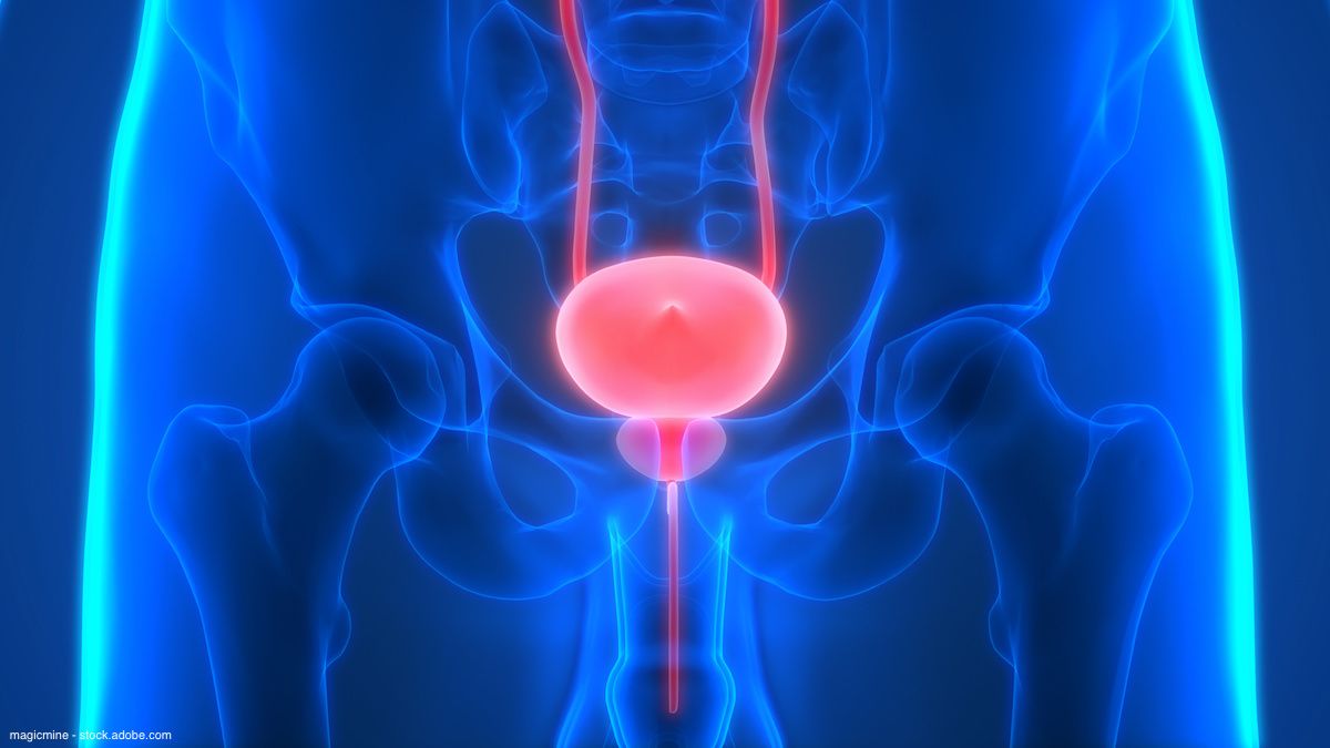 illustration of bladder