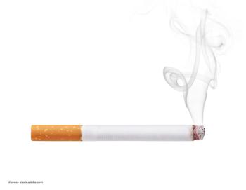 chones - stock.adobe.com