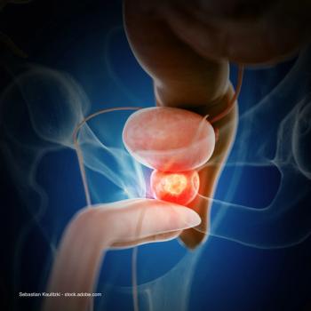 Sebastian Kaulitzki - stock.adobe.com