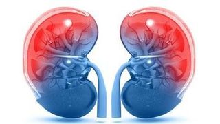 Next steps to advancing metastatic kidney cancer care