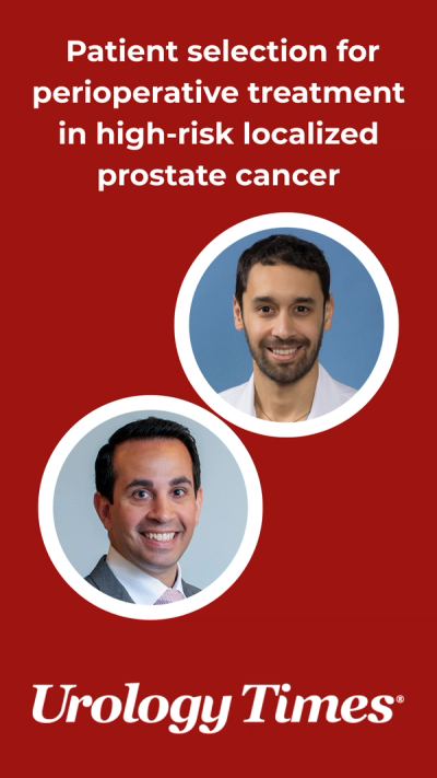 Patient selection for perioperative treatment in high-risk localized prostate cancer