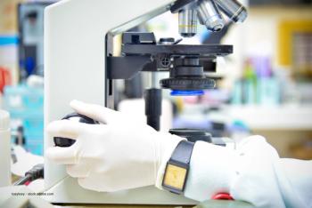 toeytoey - stock.adobe.com