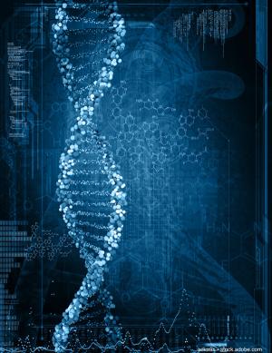 adimas - stock.adobe.com