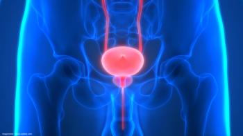 illustration of urinary bladder