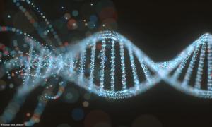 Genomic testing helps inform treatment intensity decisions in intermediate-risk prostate cancer