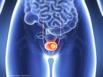 Sebastian Kaulitzki - stock.adobe.com