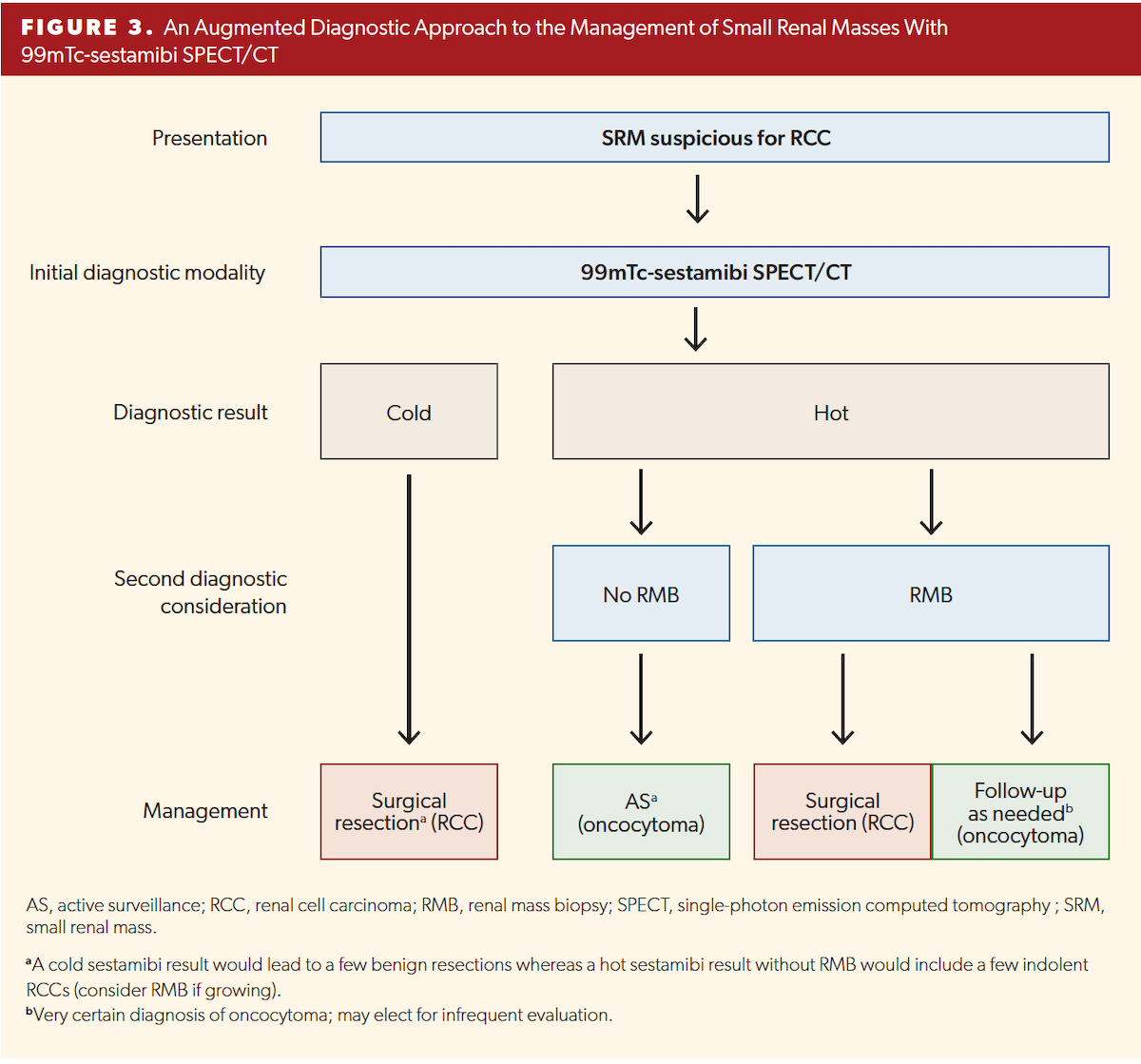  An Augmented Diagnostic Approach to the Management of Small Renal Masses With 99mTc-sestamibi SPECT/CT
