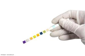 Chamaiporn - stock.adobe.com