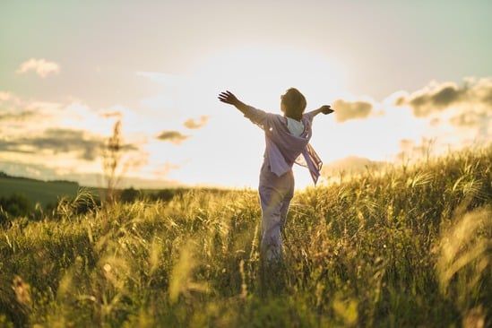 Designing a Life You Love: The 90-Day Journey