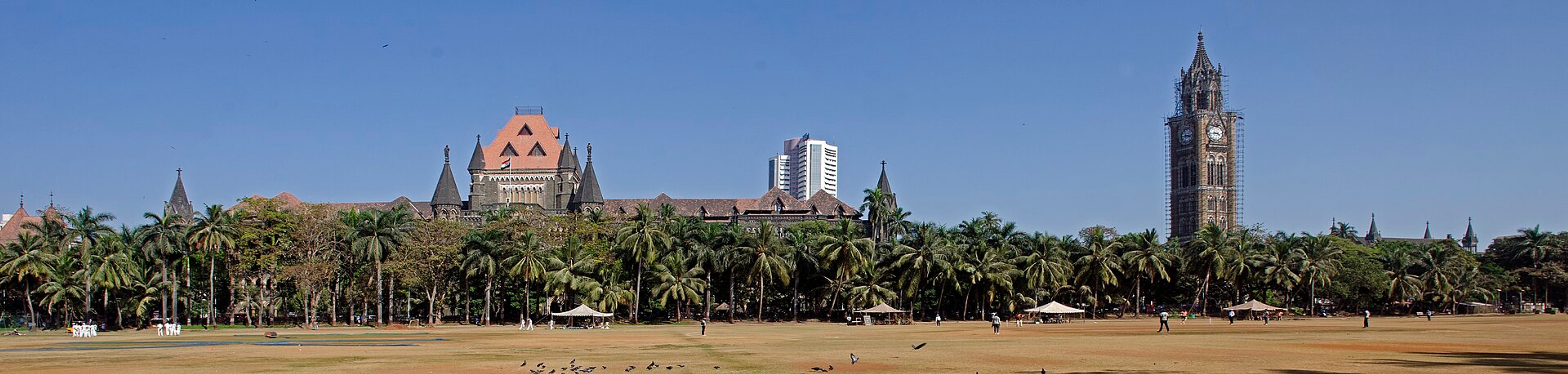 Oval Maidan in Mumbai with the Bombay High Court, a white tower and Rajabai Clock Tower behind palm trees.