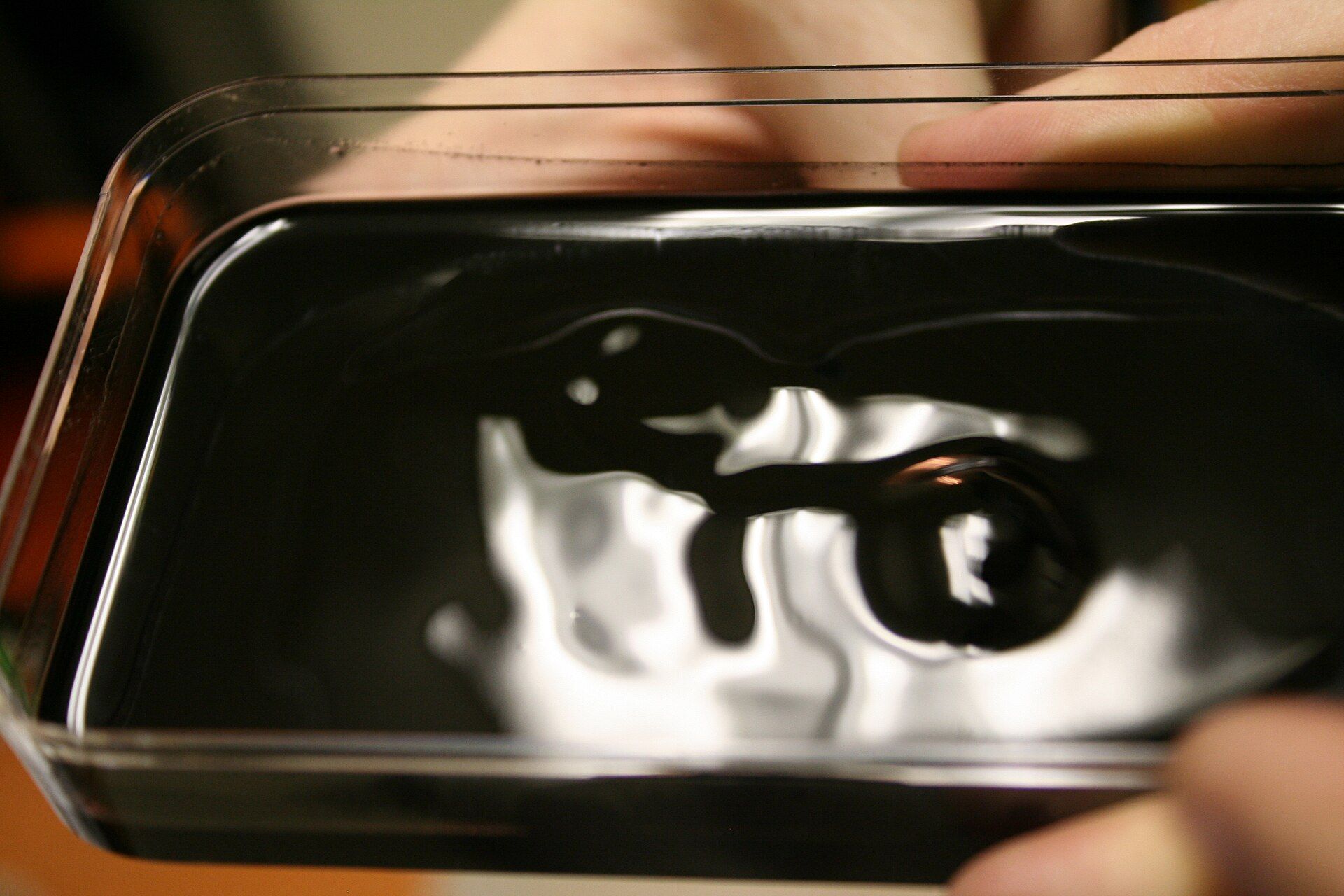 Dark ferrofluid blob in a clear tray, with fingers holding the tray at the edges