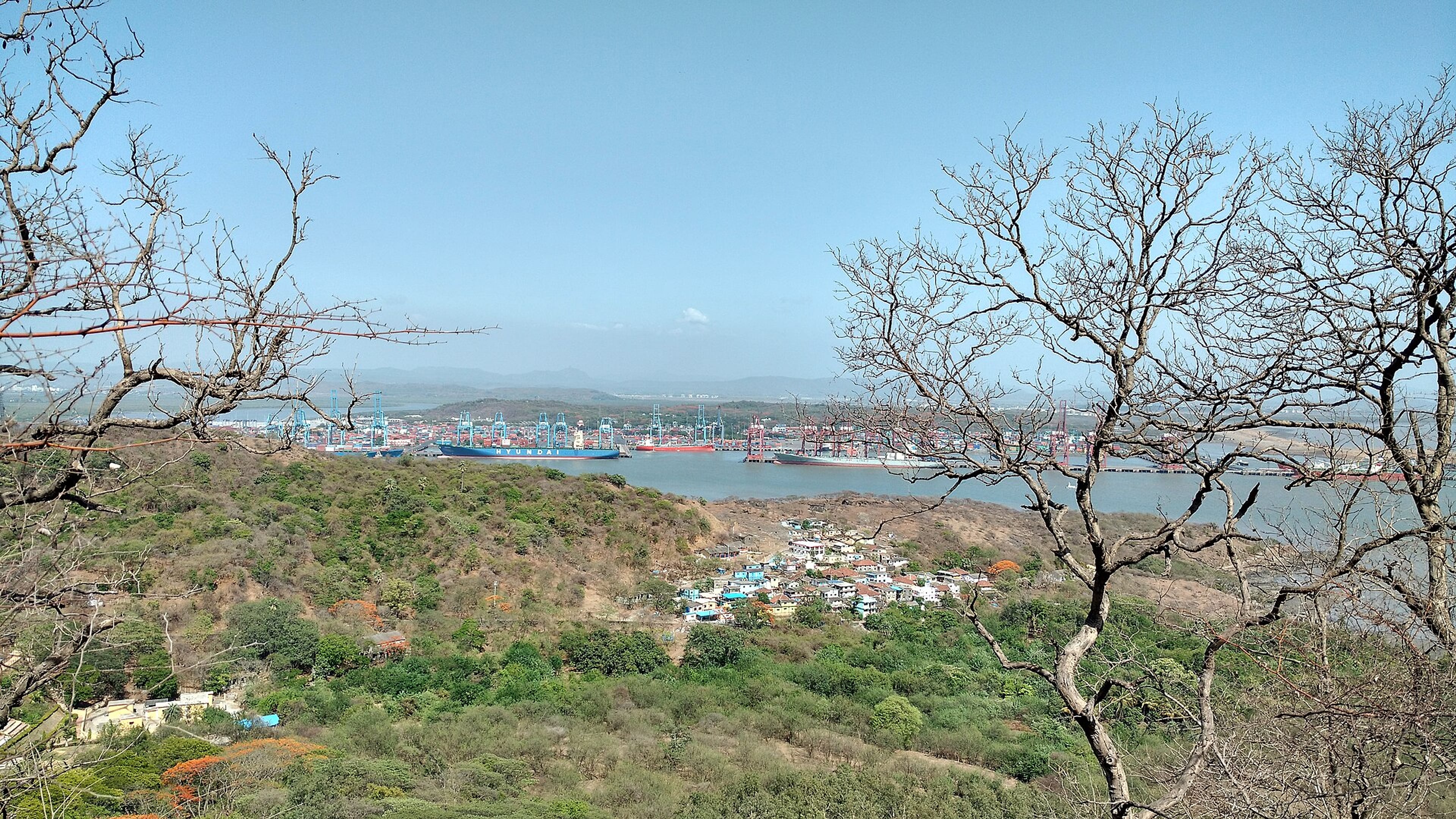 Container port with cranes and ships across water, seen from a hillside above a village of houses.