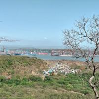 Container port with cranes and ships across water, seen from a hillside above a village of houses.