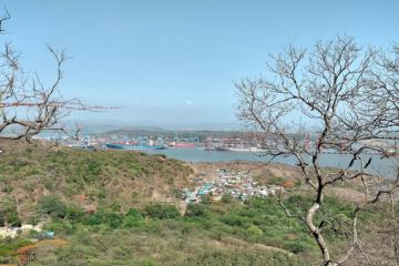 Container port with cranes and ships across water, seen from a hillside above a village of houses.