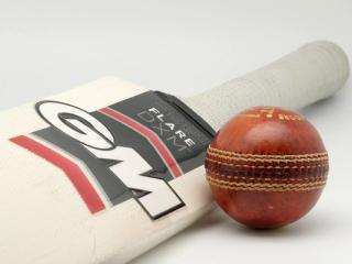 A cream cricket bat with a dark Flare DXM label and a red leather cricket ball on a plain light background.