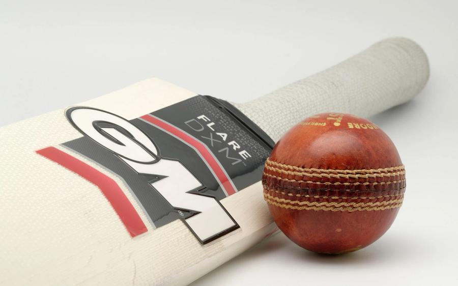 A cream cricket bat with a dark Flare DXM label and a red leather cricket ball on a plain light background.