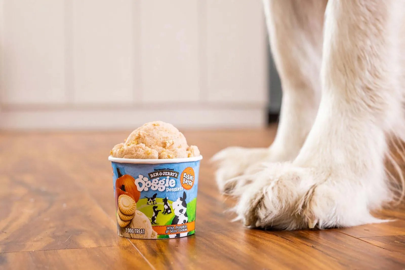 Not just for humans