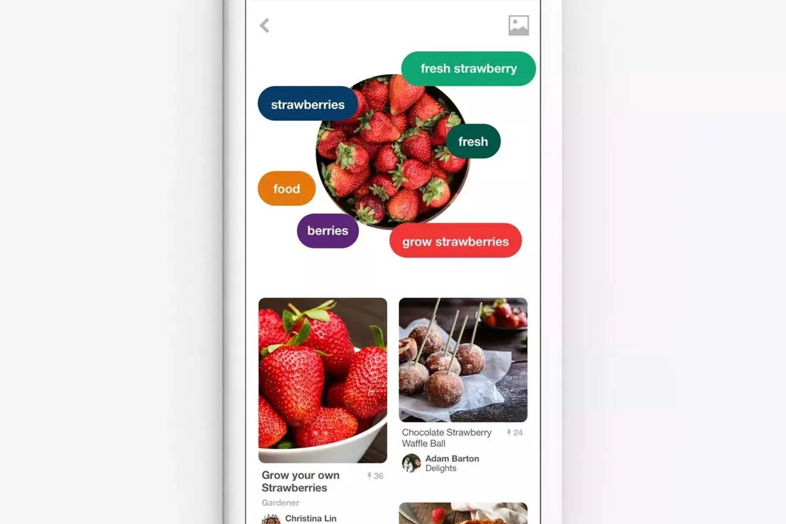 Pinterest: Puedes desglosar los elementos de la imagen y localizar la búsqueda